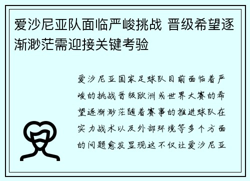 爱沙尼亚队面临严峻挑战 晋级希望逐渐渺茫需迎接关键考验